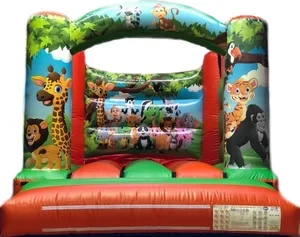 Classic Rainbow Castle